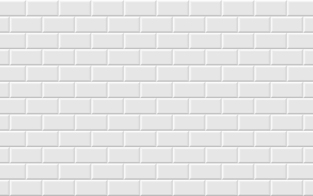 A FLY ON THE WALL