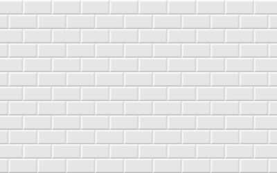 A FLY ON THE WALL