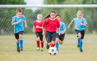 School of sport: Sport is what we do